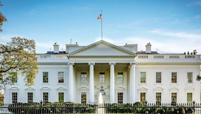 Driver dies after crashing into White House gate