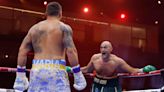 Fury was boxing like he had won the fight - Lewis