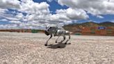 巷戰利器 陸首度展示2款機器狗 能偵蒐、打擊