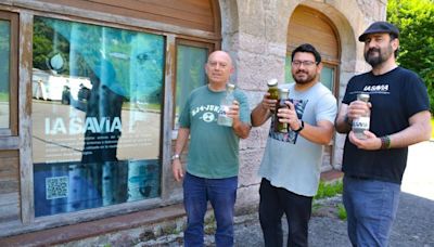 El abedul, un árbol lleno de beneficios para tres emprendedores de Teverga