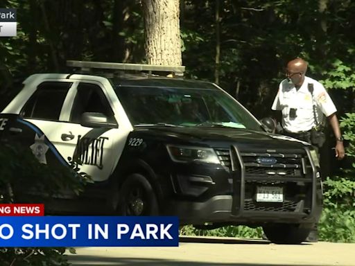 2 men injured in Joliet shooting at Pilcher Park after argument; multiple firearms recovered: police