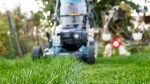 Bob Vila’s Guide to Lawn Care