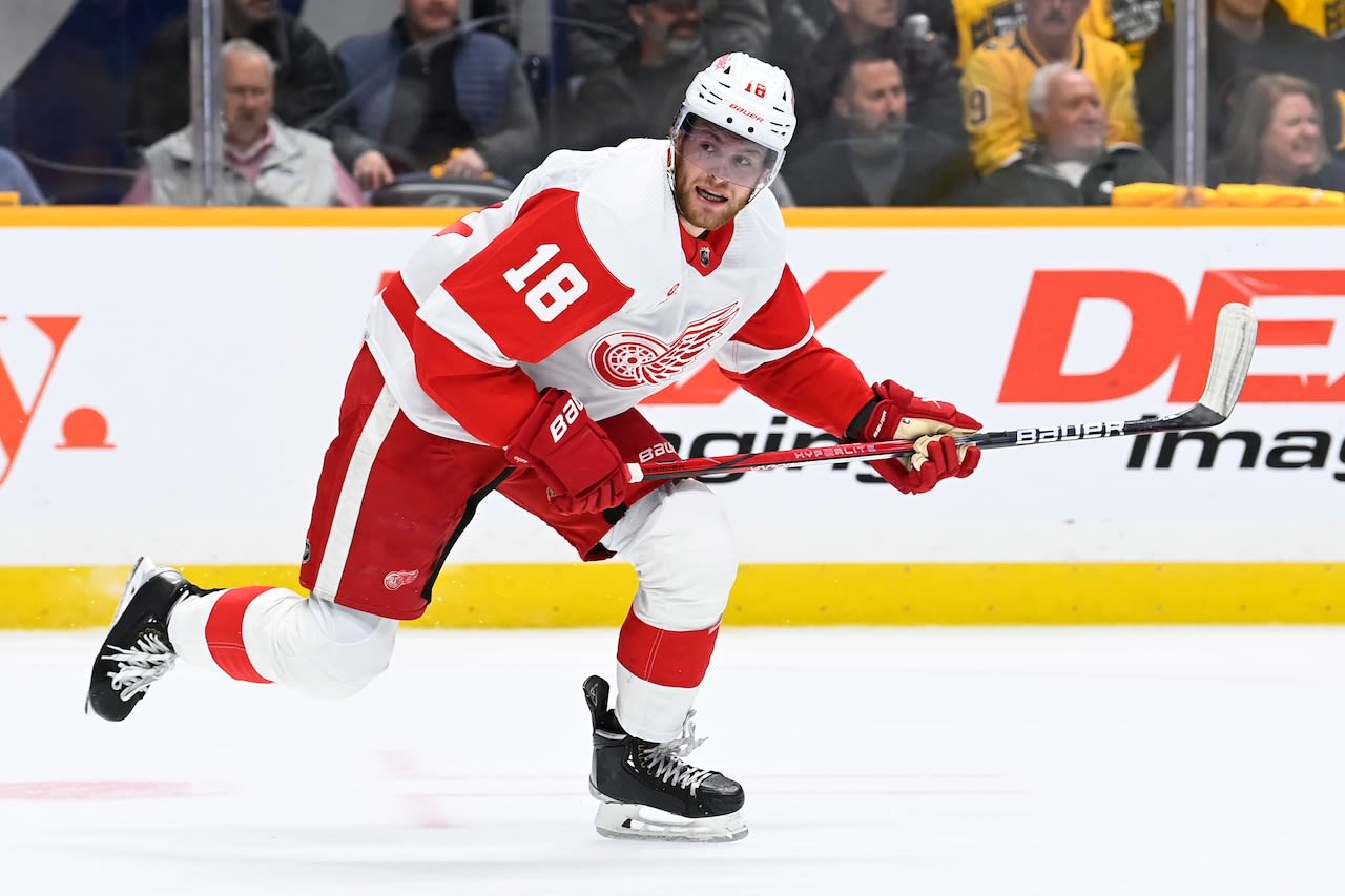 Can Red Wings get more production from Andrew Copp?