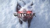 The Witcher Creator Announces Next Novel's Release Date, Teases Plot