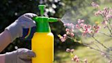 15 Natural Pest-Control Strategies for Your Yard and Garden
