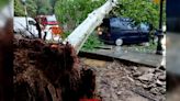 Lluvias históricas en Cataluña: Barcelona registra el día más lluvioso en cuatro años