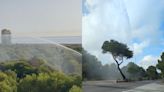 Cañones de agua refrescan la Dehesa del Saler en València para prevenir incendios en el parque natural de la Albufera