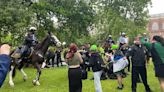 Pro-Palestinian protesters attempting to pitch tents on Tulane campus clash with police