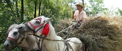 The Best Place to Retire in Romania