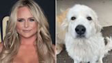 Miranda Lambert Says Emotional ‘Goodbye’ to Her Dog Thelma: 'I Loved Her with All My Heart'