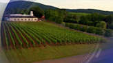 Savoring the charm of Orange County with Barboursville Vineyards + Sweet Vines Farm Winery