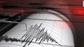 ¿Cómo se determina la magnitud de un terremoto?