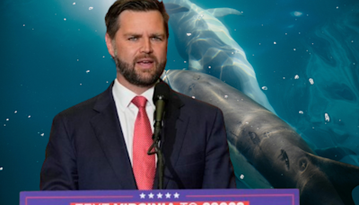 JD Vance's 'Woman And Dolphin' Social Media Post Backfires: Here's Why