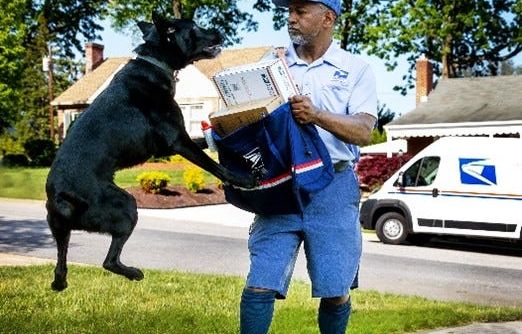 Cleveland, Cincinnati, Columbus in top 10 for dogs biting USPS workers. See where Ohio ranks