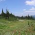 Mount Revelstoke National Park