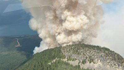 Over 100 new B.C. wildfires spark in 1 day, with lightning the leading cause