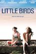 Little Birds (film)