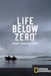 Life Below Zero