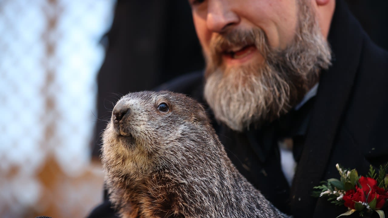 Here's what Punxsutawney Phil's groundhog babies were named