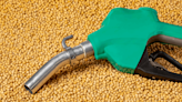 BP to Acquire Holding Interest in Biofuels JV