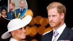 Meghan Markle has her ‘eye on politics,’ Prince Harry ‘holding out hope for new chapter’ when William becomes King: expert