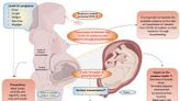 Long Covid symptoms to last longer in pregnant women: Study - News Today | First with the news