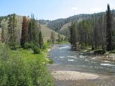 Salmon River (Idaho)