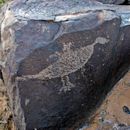 Petroglyph National Monument