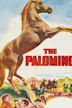 The Palomino