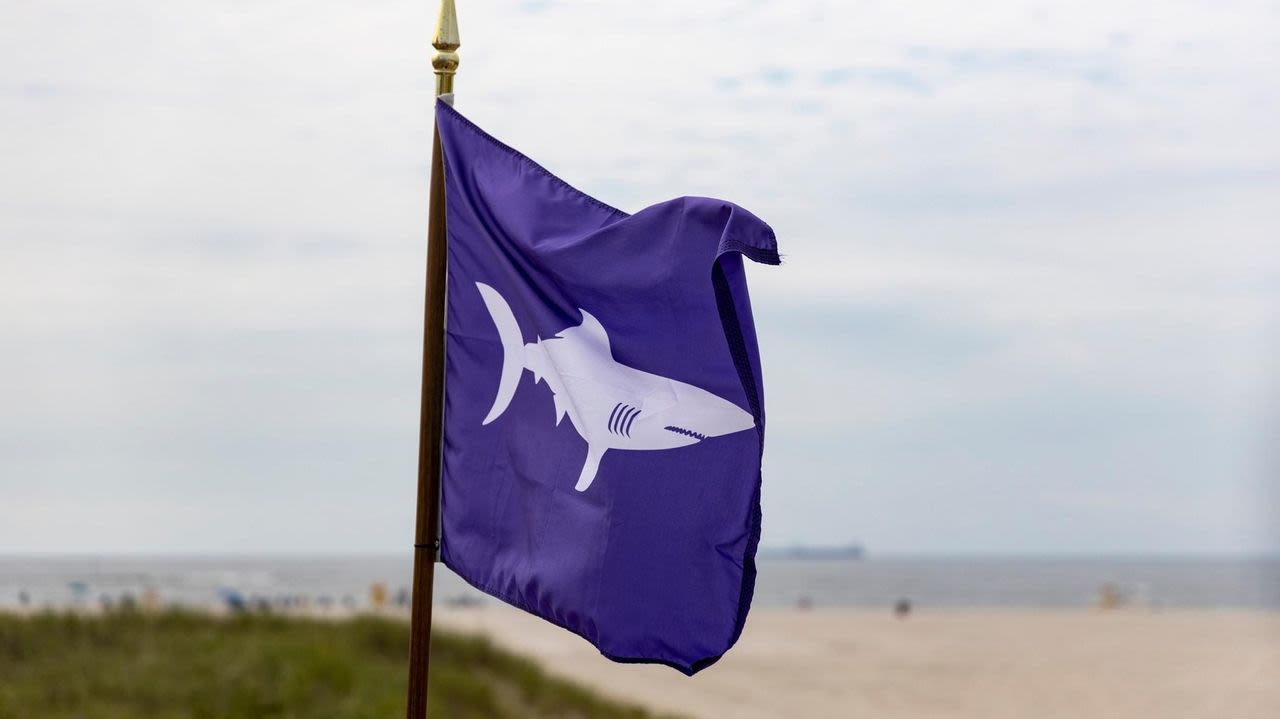 Shark sighting briefly closes swimming at Nickerson Beach Park, Malibu Shore Club and Lido Beach