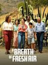 A Breath of Fresh Air (film)