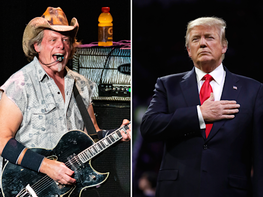 Ted Nugent's Donald Trump message goes viral—"I'm not insane"