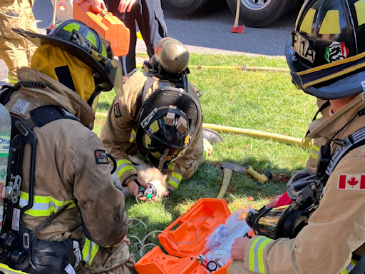 'True Heroes': Ottawa firefighters capture hearts of community by reviving dog at basement fire