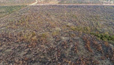 Cuidar el medioambiente: una tarea que nos concierne a todos