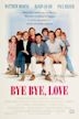 Bye Bye Love (film)