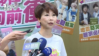 台南市長之爭綠黨內開打 陳亭妃怒告「同志」│TVBS新聞網