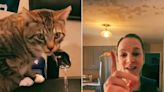 Curious Cat Learns to Turn on Sink Faucet. Owner Wakes Up to House Flood, Falling Ceiling (Exclusive)