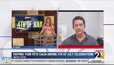 Keeping your pets calm during 4th of July celebrations