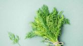 How to Freeze Dill So It Stays Fresh Longer