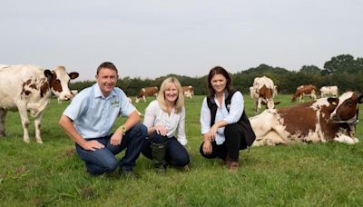 Family businesses link up to offer organic blue cheese