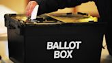 Labour could take up to 25 Scottish seats at Westminster – poll