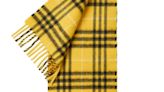 A Fresh Spin on the Classic Burberry Scarf