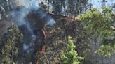 Fuerte incendio consume pastizales cerca de Parque La Mexicana en Santa Fe