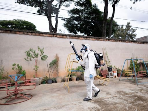 Brasil reporta las dos primeras muertes en el mundo por virus del Oropouche