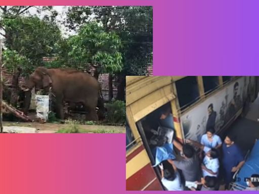 Top 5 viral videos today: Woman gives birth on a KSRTC bus, Anupam Mittal’s ‘DowrAI’ on Shaadi.com, and more
