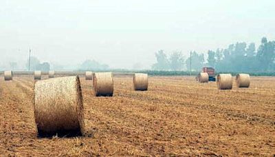 Patiala district looks for paddy management solutions before harvesting season