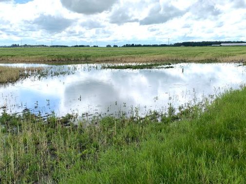 Record rain feeding into soggy start to Manitoba summer - Winnipeg | Globalnews.ca