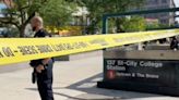 Matan a puñaladas a un niño de 14 años en el andén de una estación de metro de Nueva York
