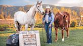 Two horseback riding services that help beginners get up in the saddle