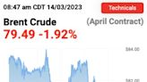 OPEC Remains Cautious Despite Bullish Chinese Demand Forecast